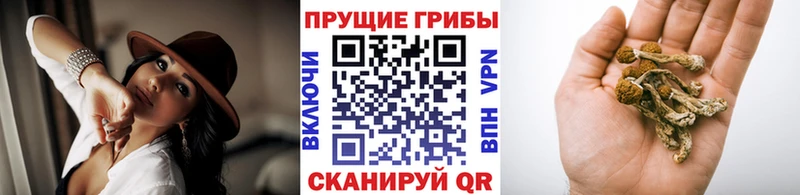 Галлюциногенные грибы Psilocybine cubensis  купить наркоту  Среднеколымск 
